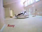 Roxy reynolds - phatty girls 7 (booty man) 